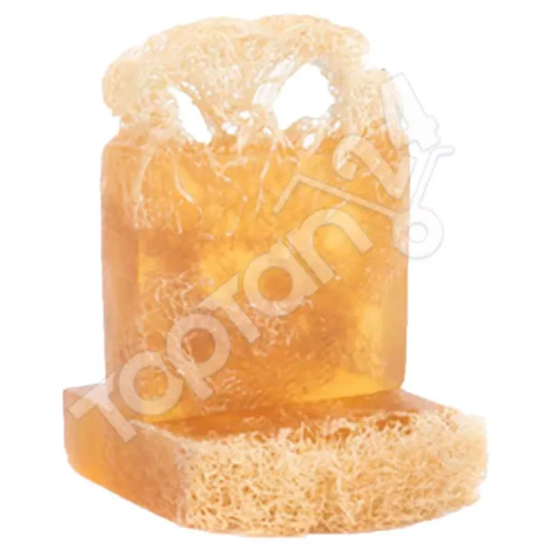 Doğal Kabak Lifli Sabun - Hindistan Cevizi 100 Gr - The Soap Factory - Görsel 6