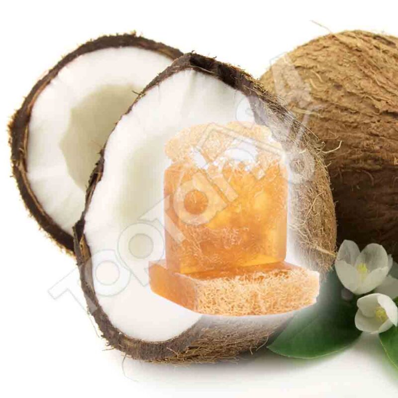 Doğal Kabak Lifli Sabun - Hindistan Cevizi 100 Gr - The Soap Factory - Görsel 4