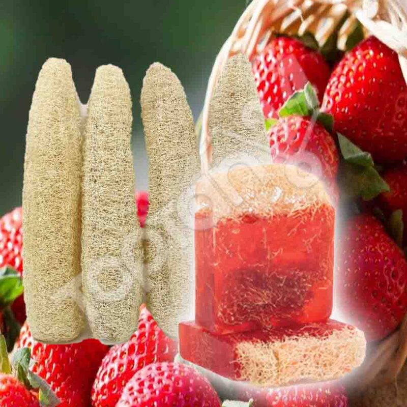 Doğal Kabak Lifli Sabun - Çilek 100 Gr - The Soap Factory - Görsel 4